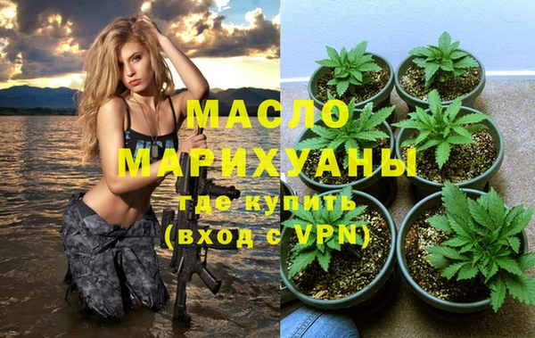 индика Армянск