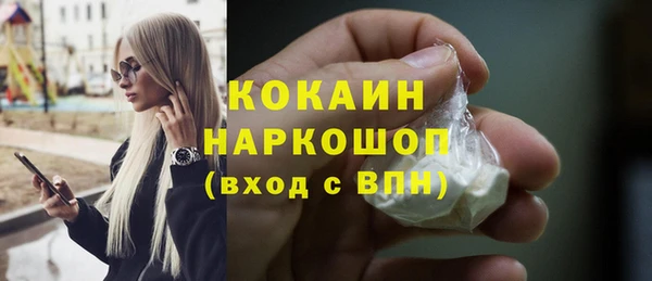индика Армянск
