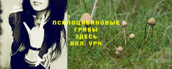 марки lsd Балахна